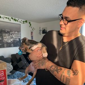 Meet your Posher, Shawn